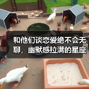 和他们谈恋爱绝不会无聊,幽默感拉满的星座(图2) 和他们谈恋爱绝不会无聊,幽默感拉满的星座(图2)