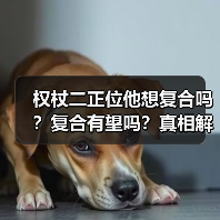 权杖二正位他想复合吗?复合有望吗?真相解析(图4) 权杖二正位他想复合吗?复合有望吗?真相解析(图4)