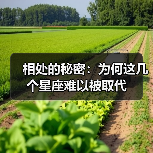 相处的秘密:为何这几个星座难以被取代(图4) 相处的秘密:为何这几个星座难以被取代(图4)