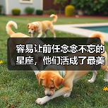 容易让前任念念不忘的星座,他们活成了最美的样子(图4) 容易让前任念念不忘的星座,他们活成了最美的样子(图4)