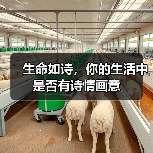 生命如诗,你的生活中是否有诗情画意(图2) 生命如诗,你的生活中是否有诗情画意(图2)
