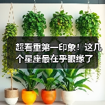 哪些星座最在意第一印象？初遇决定感情走向-辰飞雨慧纳知运