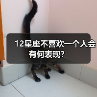 12星座不喜欢一个人会有何表现?(图3) 12星座不喜欢一个人会有何表现?(图3)