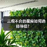 三观不合的星座如何选择伴侣？（图2）