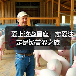 哪些星座最难缠？恋爱攻略揭秘-辰飞雨慧纳知运