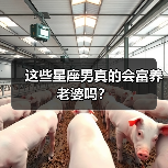 这些星座男真的会富养老婆吗？（图2）