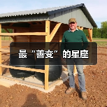 哪个星座最善变？揭秘四大善变星座-辰飞雨慧纳知运