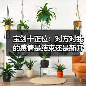 宝剑十正位:对方对我的感情是结束还是新开始?(图3) 宝剑十正位:对方对我的感情是结束还是新开始?(图3)