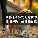 圣杯十正位对方对我的想法解析:感情是否复合?(图4) 圣杯十正位对方对我的想法解析:感情是否复合?(图4)