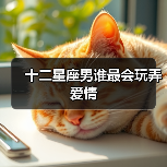 十二星座男谁最会玩弄爱情(图2) 十二星座男谁最会玩弄爱情(图2)