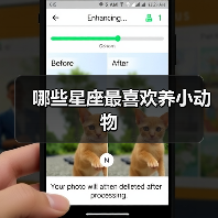 哪些星座最喜欢养小动物