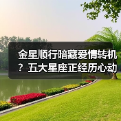 金星顺行暗藏爱情转机？五大星座正经历心动重启！（图2）