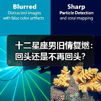 十二星座男旧情复燃：回头还是不再回头？（图1）
