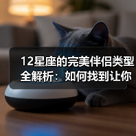 12星座的完美伴侣类型全解析：如何找到让你心动的TA（图3）