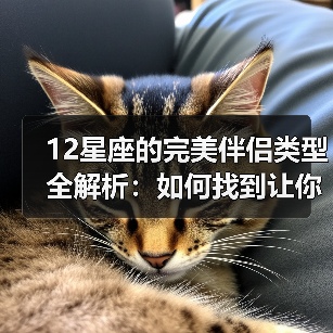 12星座的完美伴侣类型全解析：如何找到让你心动的TA（图2）