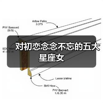 对初恋念念不忘的五大星座女(图3) 对初恋念念不忘的五大星座女(图3)