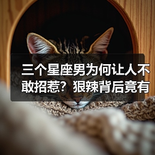 三个星座男为何让人不敢招惹?狠辣背后竟有这些特质(图3) 三个星座男为何让人不敢招惹?狠辣背后竟有这些特质(图3)