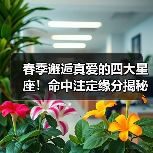 春季邂逅真爱的四大星座!命中注定缘分揭秘(图4) 春季邂逅真爱的四大星座!命中注定缘分揭秘(图4)