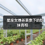 星座女绿茶表象下的软妹真相(图3) 星座女绿茶表象下的软妹真相(图3)