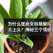 为什么星座女容易爱得太上头?揭秘三个情感依赖星座(图4) 为什么星座女容易爱得太上头?揭秘三个情感依赖星座(图4)