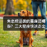 失恋后逆袭的星座是哪些?三大星座快速走出阴影秘籍(图3) 失恋后逆袭的星座是哪些?三大星座快速走出阴影秘籍(图3)