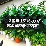 12星座社交能力排名:哪些星座最擅交际?(图2) 12星座社交能力排名:哪些星座最擅交际?(图2)