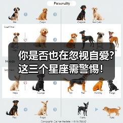 你是否也在忽视自爱？这三个星座需警惕！（图3）