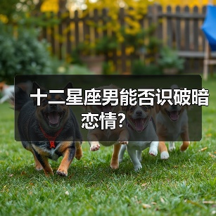十二星座男能否识破暗恋情？（图2）
