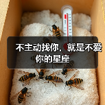 不主动找你，就是不爱你的星座（图1）