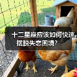 十二星座应该如何快速摆脱失恋困境？（图4）