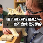 哪个星座最容易说分手?一言不合就提分手的真相(图1) 哪个星座最容易说分手?一言不合就提分手的真相(图1)