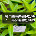 哪个星座最容易说分手?一言不合就提分手的真相(图2) 哪个星座最容易说分手?一言不合就提分手的真相(图2)