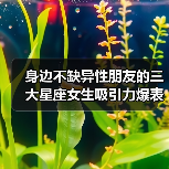 身边不缺异性朋友的三大星座女生吸引力爆表(图3) 身边不缺异性朋友的三大星座女生吸引力爆表(图3)