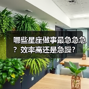 哪些星座做事最急急急?效率高还是急躁?(图2) 哪些星座做事最急急急?效率高还是急躁?(图2)