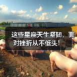 这些星座天生坚韧，面对挫折从不低头！（图3）