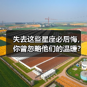 失去这些星座必后悔,你曾忽略他们的温暖?(图2) 失去这些星座必后悔,你曾忽略他们的温暖?(图2)