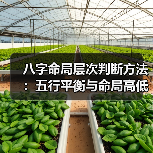 八字命局层次判断方法：五行平衡与命局高低解析（图4）