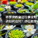 塔罗牌教皇逆位事业财运如何应对?逆位教皇财务风险解析(图1) 塔罗牌教皇逆位事业财运如何应对?逆位教皇财务风险解析(图1)