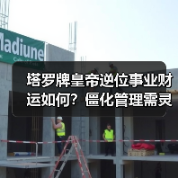 塔罗牌皇帝逆位事业财运如何？僵化管理需灵活应对（图3）