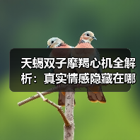 天蝎双子摩羯心机全解析:真实情感隐藏在哪些细节?(图1) 天蝎双子摩羯心机全解析:真实情感隐藏在哪些细节?(图1)