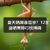 夏天晒黑谁最惨?12星座晒黑排行榜揭晓(图1) 夏天晒黑谁最惨?12星座晒黑排行榜揭晓(图1)
