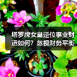 塔罗牌女皇逆位事业财运如何？忽视财务平衡的后果与应对策略（图1）