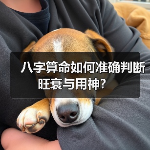 八字算命如何准确判断旺衰与用神?(图1) 八字算命如何准确判断旺衰与用神?(图1)