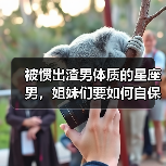 被惯出渣男体质的星座男,姐妹们要如何自保?(图1) 被惯出渣男体质的星座男,姐妹们要如何自保?(图1)