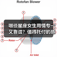 哪些星座女生用情专一又靠谱？值得托付的感情人选（图3）