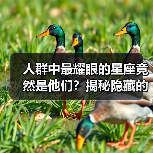 人群中最耀眼的星座竟然是他们?揭秘隐藏的光芒(图1) 人群中最耀眼的星座竟然是他们?揭秘隐藏的光芒(图1)