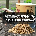 哪些星座为爱奋不顾身?四大勇敢追爱星座解析(图2) 哪些星座为爱奋不顾身?四大勇敢追爱星座解析(图2)