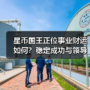 星币国王正位事业财运如何？稳定成功与领导力解析（图4）