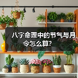 八字命理中的节气与月令怎么算?(图3) 八字命理中的节气与月令怎么算?(图3)
