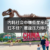 内耗社会中哪些星座最扛不住?星座压力排行榜(图4) 内耗社会中哪些星座最扛不住?星座压力排行榜(图4)